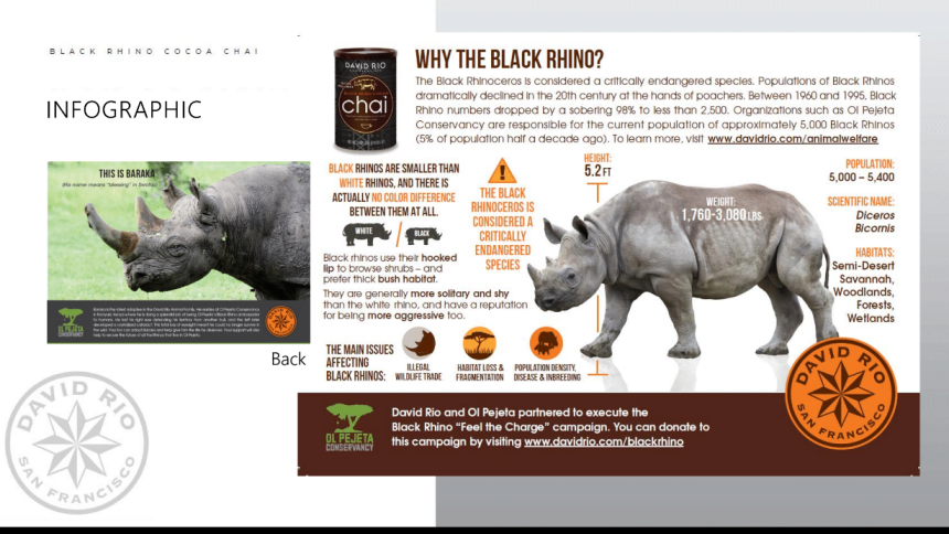 Rhino4