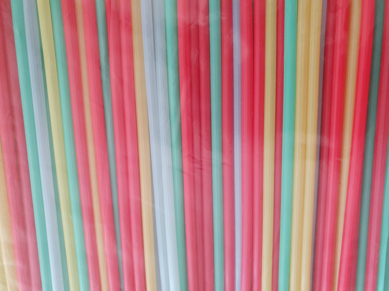 Zuckerrohr Halm bunt